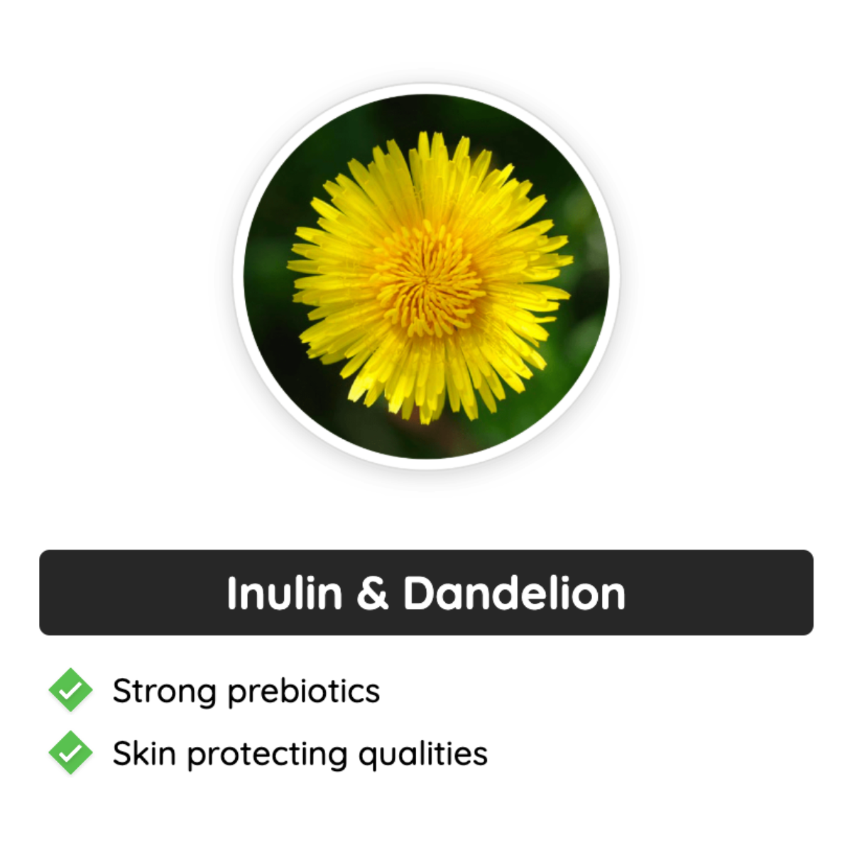 Neotonics Ingredients - Inulin & Dandelion