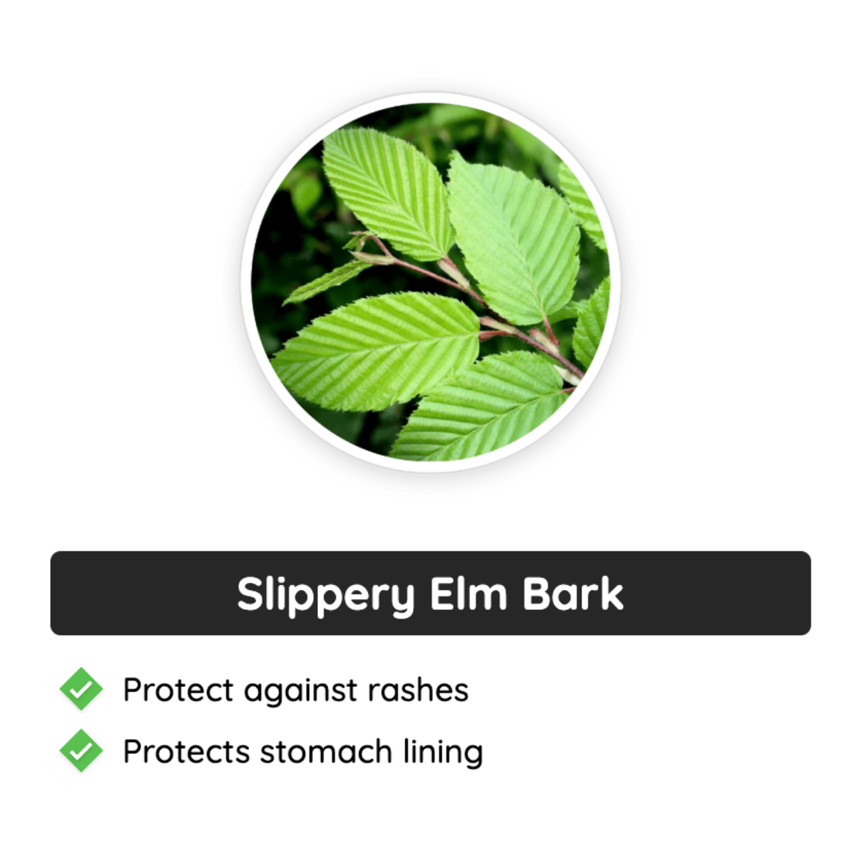 Neotonics Ingredients - Slippery Elm Bark