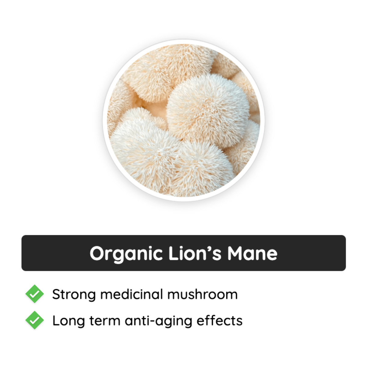 Neotonics Ingredients - Organic Lion’s Mane